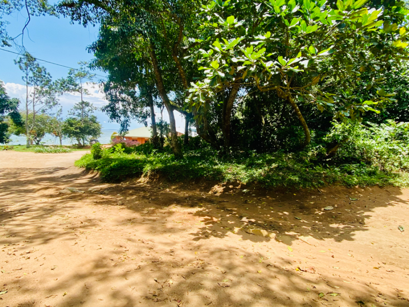 Relaxing Beach in Kalangala
